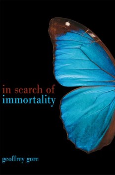 In Search of Immortality - Journey of Life from a Spiritual Perspective (ePub)