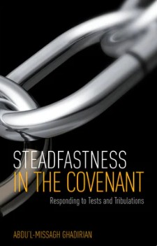 Steadfastness in the Covenant (ePub)