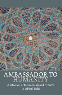 Ambassador to Humanity (ePub)