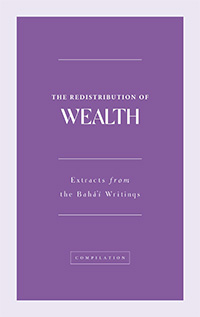 Redistribution of Wealth (ePub)